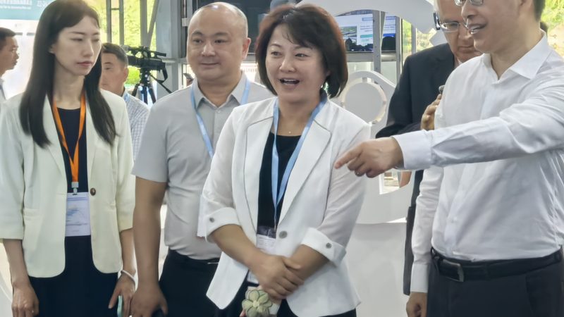 汽车配件批发营业执照，这些要求你了解